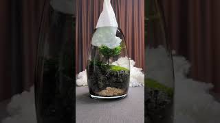 Fish Aquarium Decoration [upl. by Asiulairam]