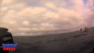 Great White Shark off Trigg Beach Perth Western Australia [upl. by Bekki]