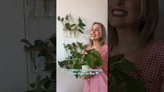 DECORA CON PLANTAS FÁCIL 🌱 [upl. by Luana]