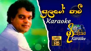 Sulage Pavi  සුලගේ පාවී  Miltan Mallawarachchi  Karaoke karaokesongs [upl. by Susanna]