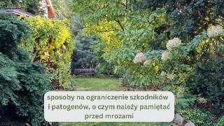 Prace jesienne Co wybieram na poplon O czym należy pamiętać przed nadejściem mrozów [upl. by Eladnwahs]