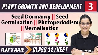 Plant Growth and Development 03  Seed Dormancy  Seed Germination  Class11NEET RAFTAAR [upl. by Elleron]