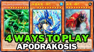 4 BEST WAYS to PLAY APODRAKOSIS in YUGIOH 2024 [upl. by Beauchamp]