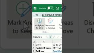 Remove Image Background in Excel shorts viral excel [upl. by Naillik]