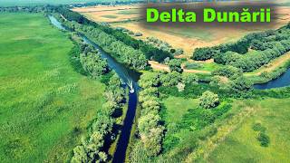 AICI PRINZI PEȘTE DUPĂ PEȘTE  Delta Dunării [upl. by Abana]