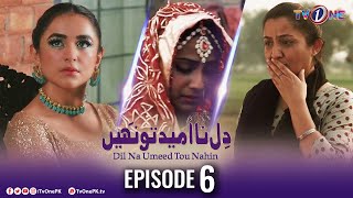 Dil Na Umeed Toh Nahi  Episode 6  Tv One Dramas [upl. by Merceer]