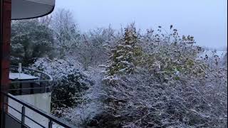 Schnee am 19 11 2024 in Bad Oeynhausen [upl. by Hitoshi]