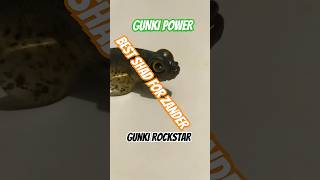 GUNKI POWER fishing bassfishing fish gunki catchandrelease zanderfishing GUNKITV [upl. by Nahtanohj]