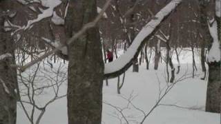 xcdownhill amp telemarkski テレマーク BCクロカン [upl. by Gaves]