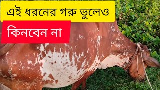 এই ধরনের গরু কিনে ভুল করবেন না 👍 bast farming bigness in Bangla farm180গরুপালনcow viralvideo [upl. by Kienan]