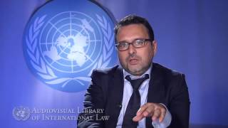 Vicent Chetail on the Principle of Nonrefoulement in International Law [upl. by Neelrahc]