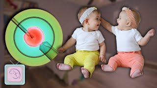 How To Have Twins Get the Truth from a Fertility Expert [upl. by Eseela751]