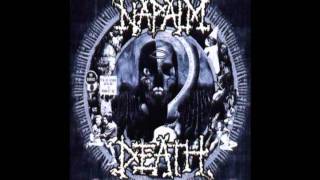 Napalm Death  Puritanical Punishment Beating [upl. by Olen]