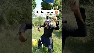 Hunter for seagull 🥵fouryouvillagelifefrming kisanhumor humanity entertainment growanimals [upl. by Ahsikyw]