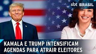 Veja as estratégias de Kamala Harris e Donald Trump a um dia da votação  SBT Brasil 041124 [upl. by Macri]