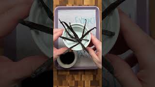 Triple Vanilla Cake  When to Use Vanilla Extract vs Beans vs Paste baking [upl. by Nnaer819]