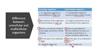 Difference between unicellular and multicellular organisms  Unicellular and multicellular organisms [upl. by Alrats]