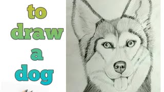 How to draw a dogpencil drawingpencil sketchdog pencil drawing [upl. by Hollinger]