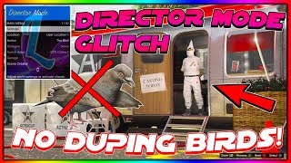 NEW GTA 5 ONLINE DIRECTOR MODE GLITCH WITHOUT DUPING BIRDS AFTER PATCH 158 [upl. by Auqinom]