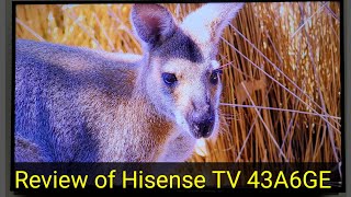 Full Review of Hisense 43 inch UHD LED TV 2021  43A6GE [upl. by Modla]