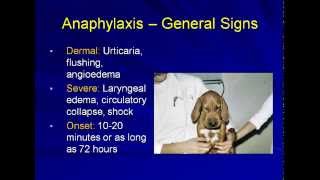 Anaphylaxis in the Veterinary Patient [upl. by Westbrooke]