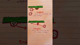 Endocytosis and exocytosisClass 11 biologyClass 9 biology [upl. by Ecertak]