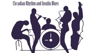 3 Minute Thesis Circadian Rhythm and Insulin Blues [upl. by Haidebez]