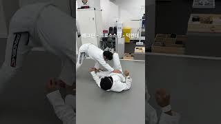 와이어 주짓수 초등학생 패스드릴 ㅣ AOJ Cole Abate Pass Drill bjj jiujitsu [upl. by Malcolm]