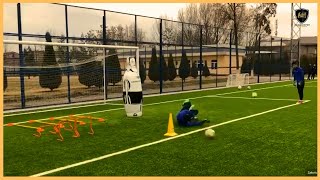 Professional Goalkeeper Training [upl. by Lounge935]