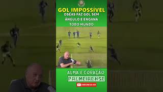 FELIPÃO FICOU PISTOLA NO GOL DO TÍTULO [upl. by Minica36]