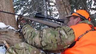 quotElk Slides 200yds Down Mountainquot 2013 DIY Colorado 5X5 Father amp Son Hunt [upl. by Zoes]