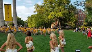 Marching MIZZOU Tiger Walk concert [upl. by Zurheide]