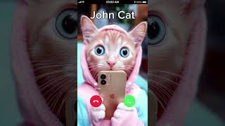 JOHN CAT 🐯 is CALLING 😂 johnycat [upl. by Ecnedurp]