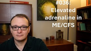 036  Elevated adrenaline in MECFS [upl. by Cartwright]