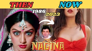 NAGINA 1986  NAGINA FULL MOVIE CAST 1986 TO 2023  RISHI KAPOOR  SRIDEVI  AMRISH PURI  nagina [upl. by Dettmer27]