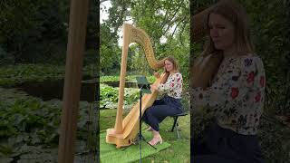 Concerning Hobbits LOTR Harp Cover  Madeline Kirby Harpist [upl. by Ayaladnot]