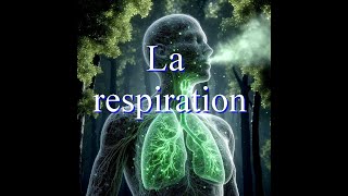 64  La respiration [upl. by Aynotahs968]