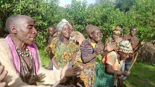 Batwa tipical dance here Bwindi Rushaga region [upl. by Mcmillan576]