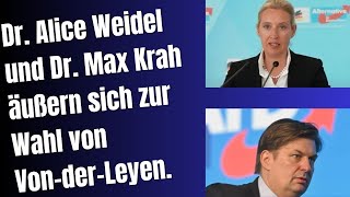 Alice Weidel AfD und Max Krah AfD äußern sich zur Wahl von Von der Leyen [upl. by Sefton]