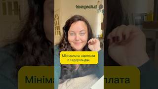 Мінімальна зарплата нидерланды налоги податки нідерланди податковийконсультант bv зарплата [upl. by Atipul790]