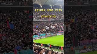 Peluza Nord FCSB reels shorts youtubeshorts fcsb europaleague football 4k share [upl. by Ettenaj]