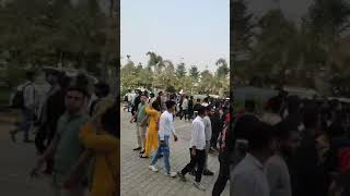 Phoenix palassio mey YouTubers Enter 😲😮🤩phoenixpalassio shortvideo shortsfeed lucknow events [upl. by Lav]