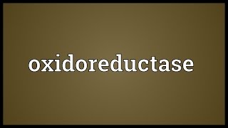 Oxidoreductase Meaning [upl. by Haiacim]