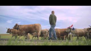 Estive  Transhumance en Aveyron [upl. by Ecienal768]