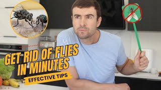 How To Get Rid Of House Flies NaturallyEffective Methods [upl. by Gris418]