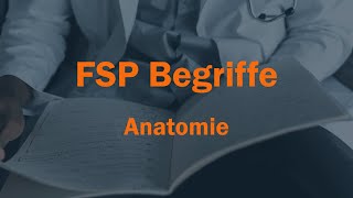 Anatomie Begriffe für FSP Von D Farhi [upl. by Warms516]