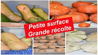 Récolte de légumes sur une parcelle petite de 100 mètre carré vous allez être surpris [upl. by Yetak]