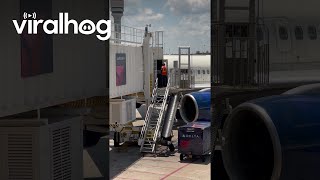 Baggage Handlers Get Rough With Luggage  ViralHog [upl. by Shifrah]