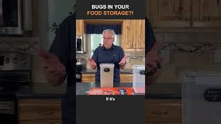 How to Get Rid of Bugs In Your Stored Grains [upl. by Searcy]