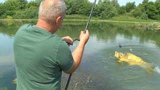 Pecanje soma šarana i štuke kod Čačka  Zapadna Morava jezero Samaila i Međuvršje FULL VIDEO [upl. by Trout]